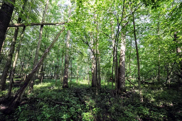 $325,000 | Vl Tucker Road, Eaton Rapids, MI 48827