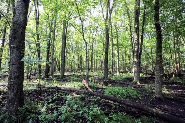 $325,000 | Vl Tucker Road, Eaton Rapids, MI 48827