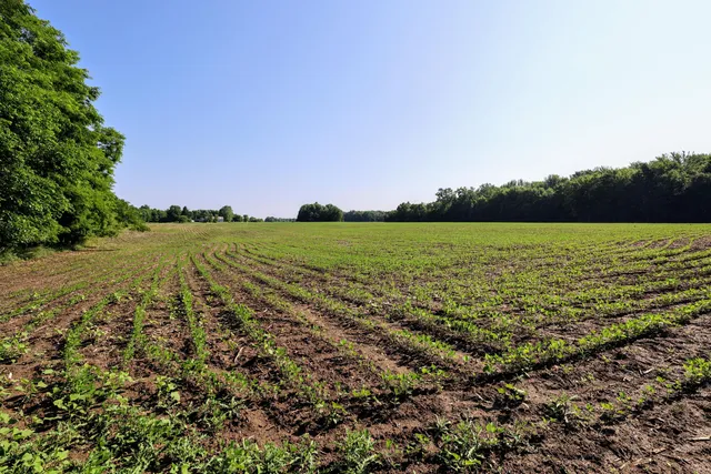 $325,000 | Vl Tucker Road, Eaton Rapids, MI 48827