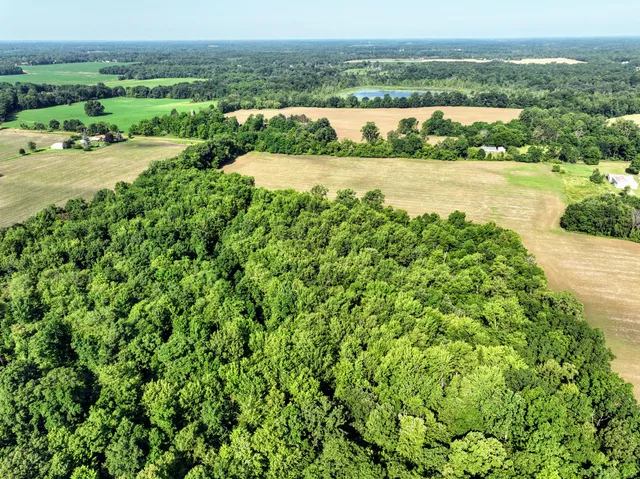 $325,000 | Vl Tucker Road, Eaton Rapids, MI 48827