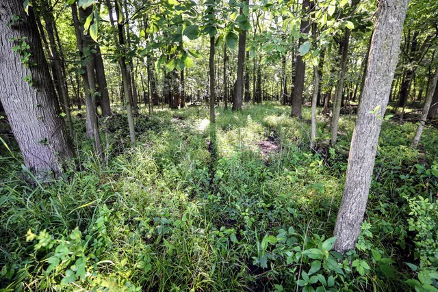 $325,000 | Vl Tucker Road, Eaton Rapids, MI 48827