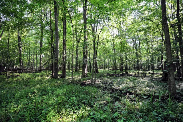 $325,000 | Vl Tucker Road, Eaton Rapids, MI 48827