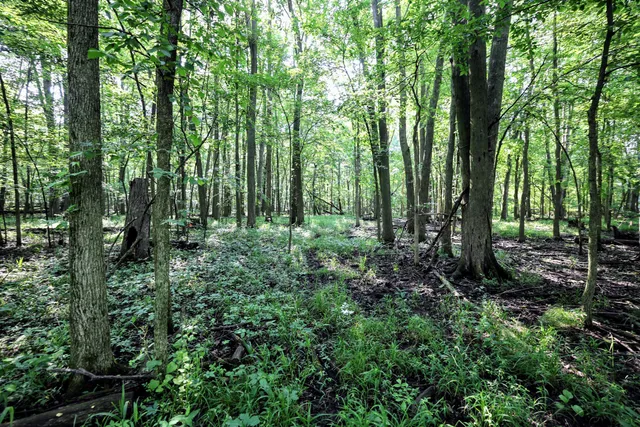 $325,000 | Vl Tucker Road, Eaton Rapids, MI 48827