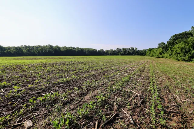 $325,000 | Vl Tucker Road, Eaton Rapids, MI 48827