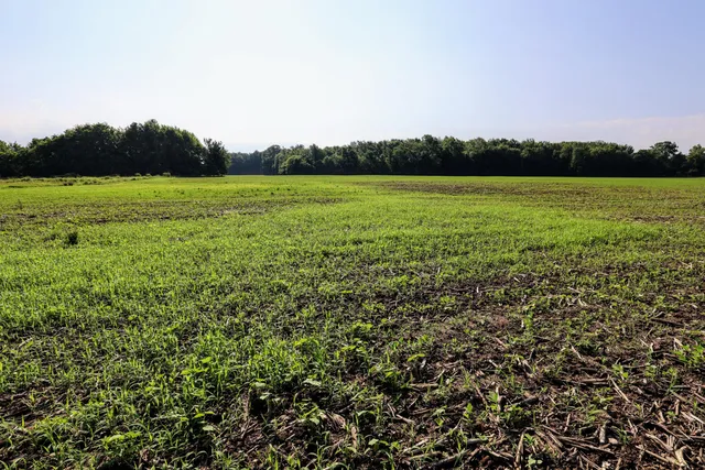 $325,000 | Vl Tucker Road, Eaton Rapids, MI 48827