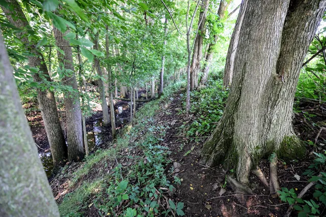 $325,000 | Vl Tucker Road, Eaton Rapids, MI 48827