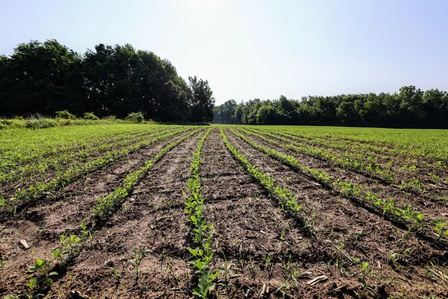 $325,000 | Vl Tucker Road, Eaton Rapids, MI 48827