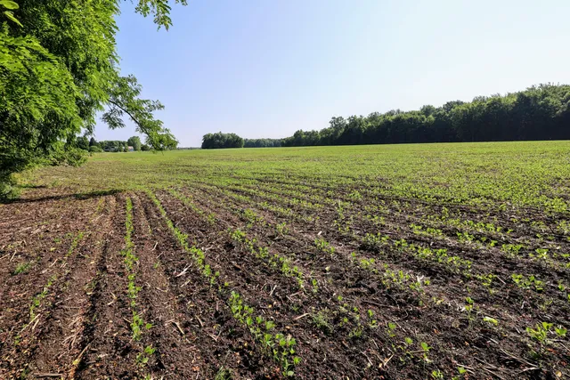 $325,000 | Vl Tucker Road, Eaton Rapids, MI 48827