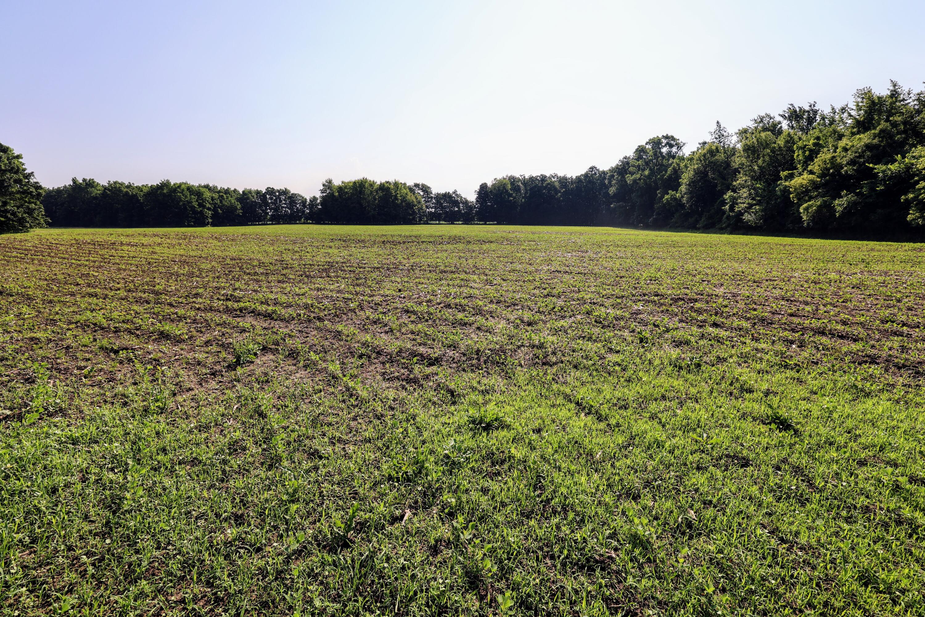 Vl Tucker Road Eaton Rapids, MI 48827 - Photo 45 of 48 45