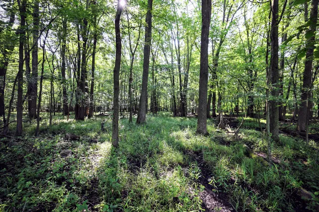 $325,000 | Vl Tucker Road, Eaton Rapids, MI 48827