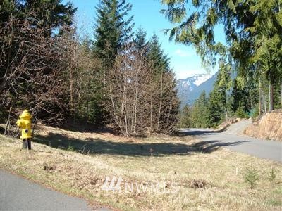 7 Ridge Lane Packwood, WA 98361 - Photo 1 of 1 Gallery Image 1