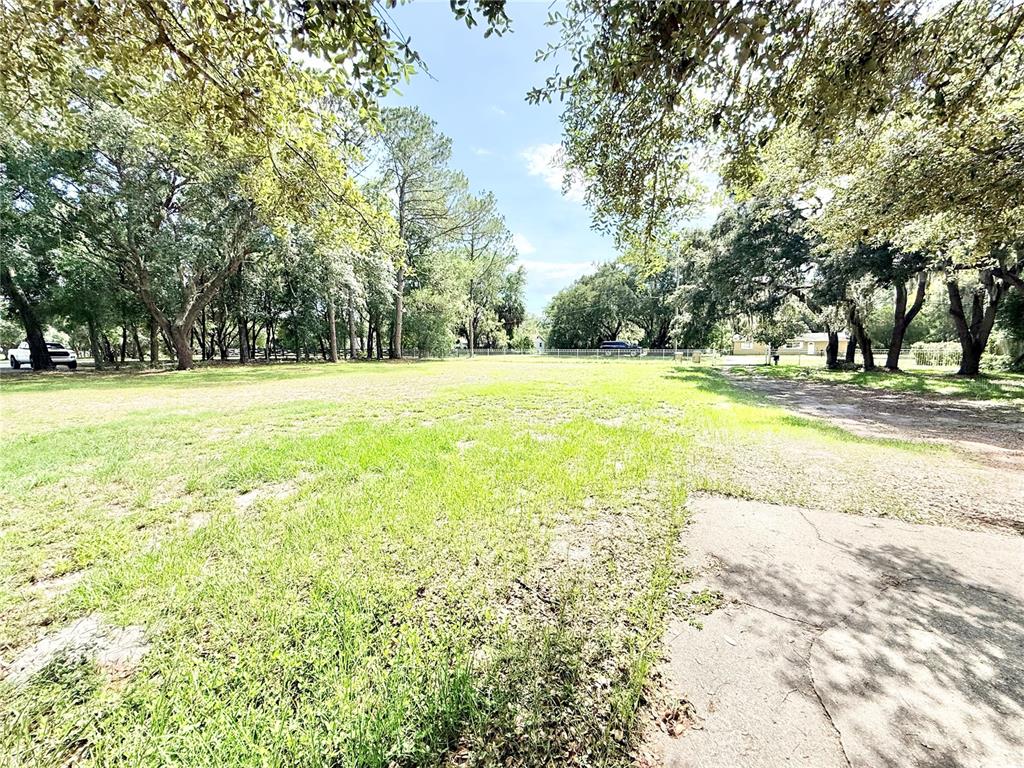 34704 Radio Road Leesburg, FL 34788 - Photo 5 of 42