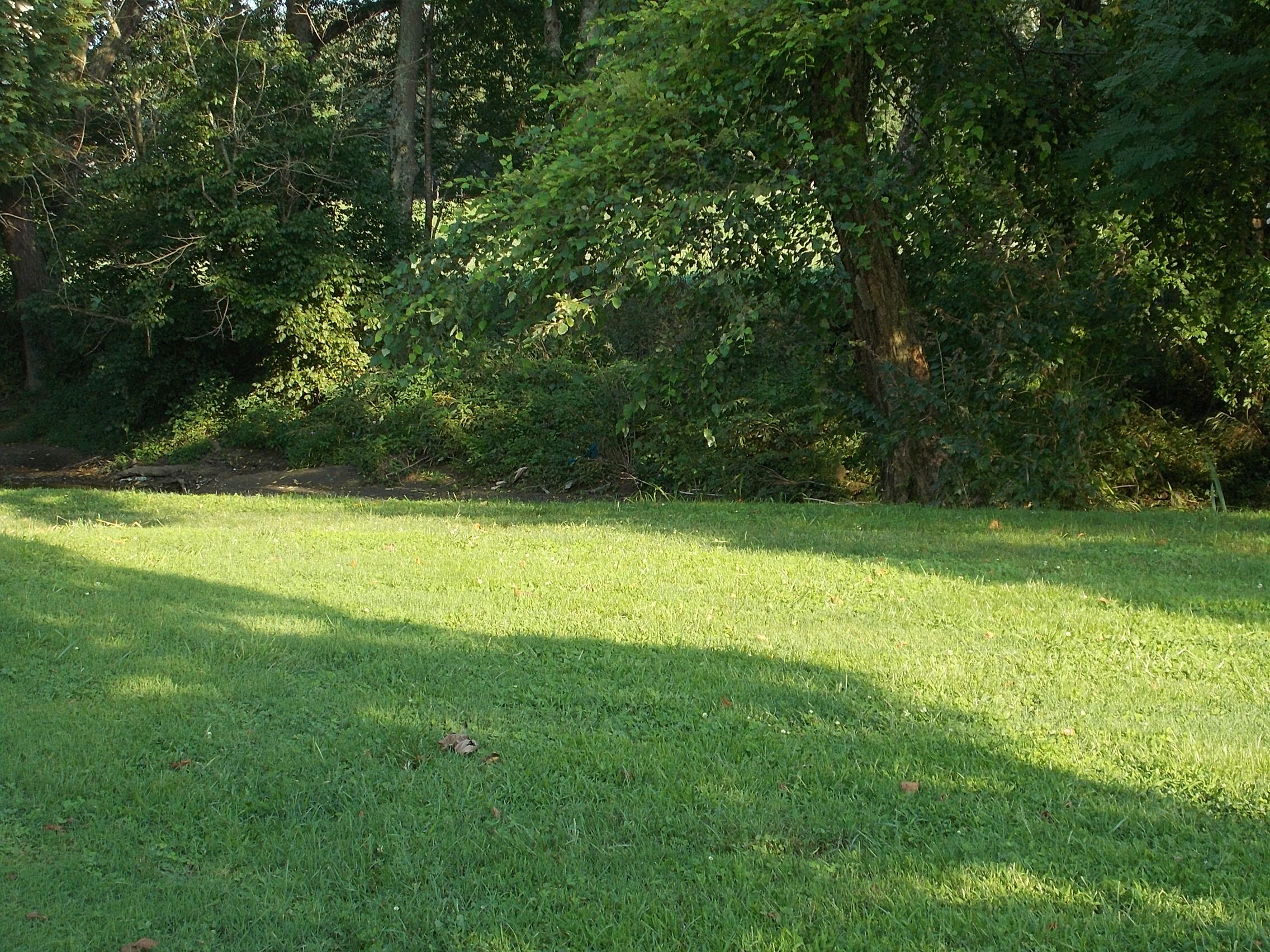 6590 Levee Road Jeffersonville, KY 40337 - Photo 29 of 30 DSCN5959