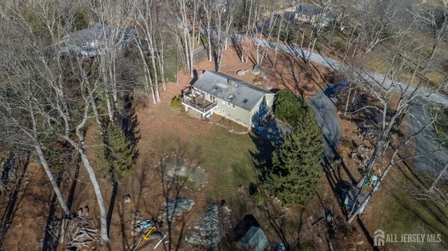 a view of a yard with plants and trees