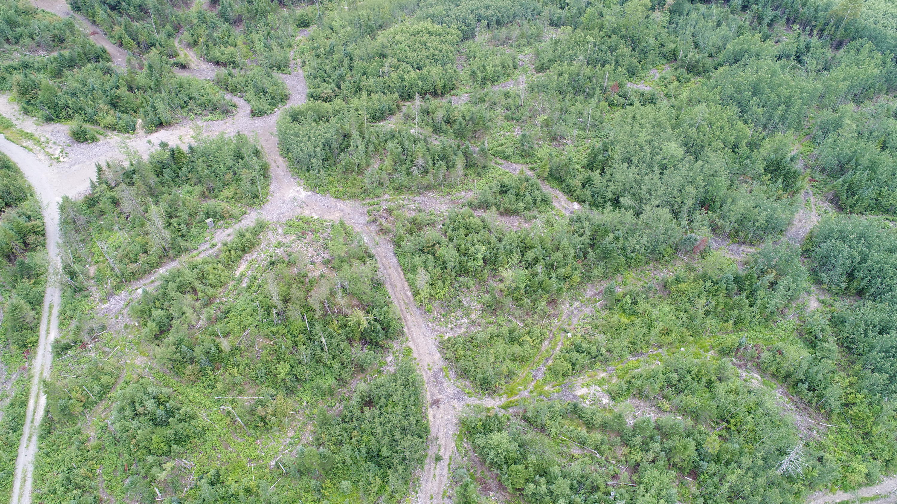 Tbd McCarty Road Solon, ME 04979 - Photo 6 of 17 DJI_0107