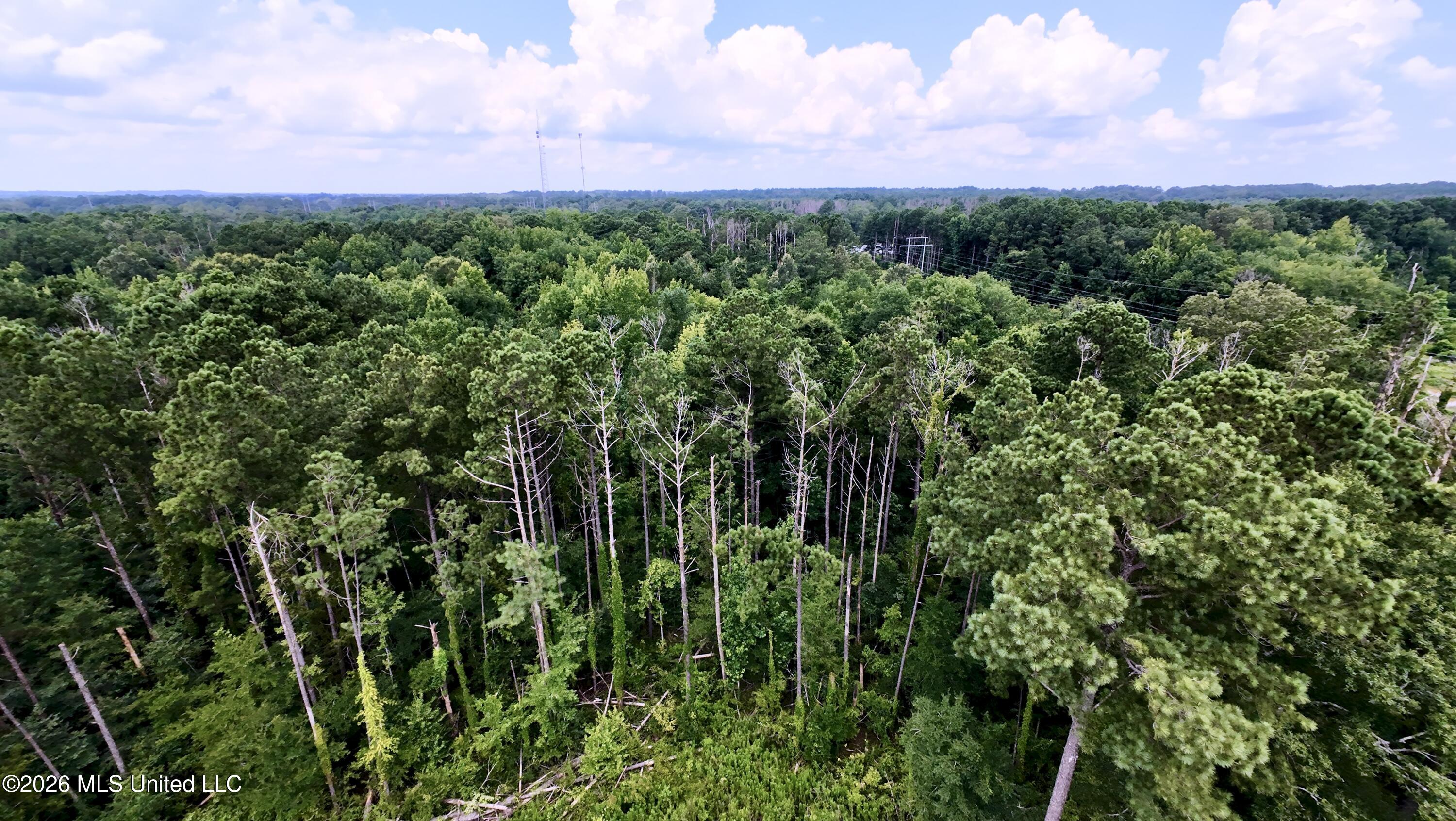 117 Holly Bush Place Brandon, MS 39047 - Photo 64 of 65 DJI_20260703123518_0369_D