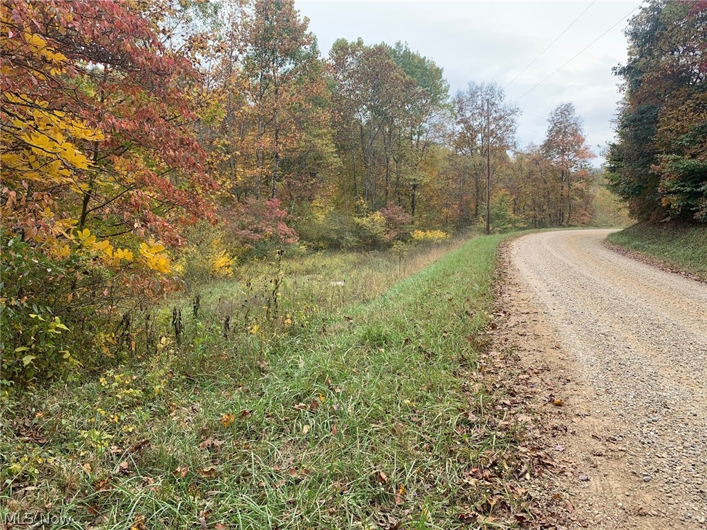Zion Road Newcomerstown, OH 43832 - Photo 6 of 22 Gallery Image 6