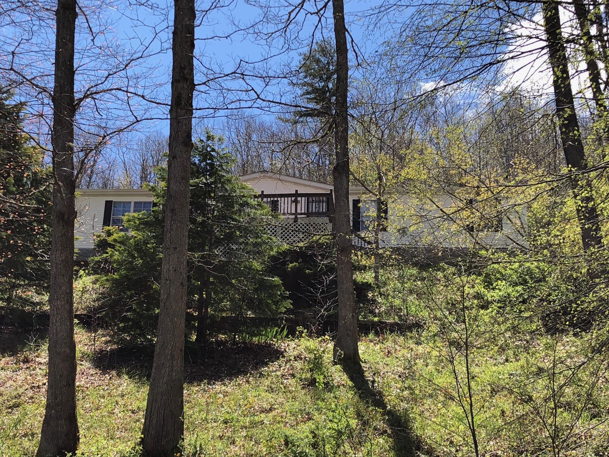 246 Mine Ridge Road Mountain City, TN 37683 - Photo 2 of 16 IMG_2959