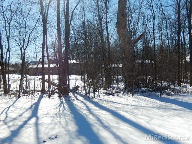 1753 Tamm Avenue Rochester Hills, MI 48309 - Photo 22 of 29