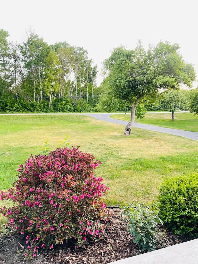 9925 West Long Lake Road Alpena, MI 49707 - Photo 51 of 55 Gallery Image 51