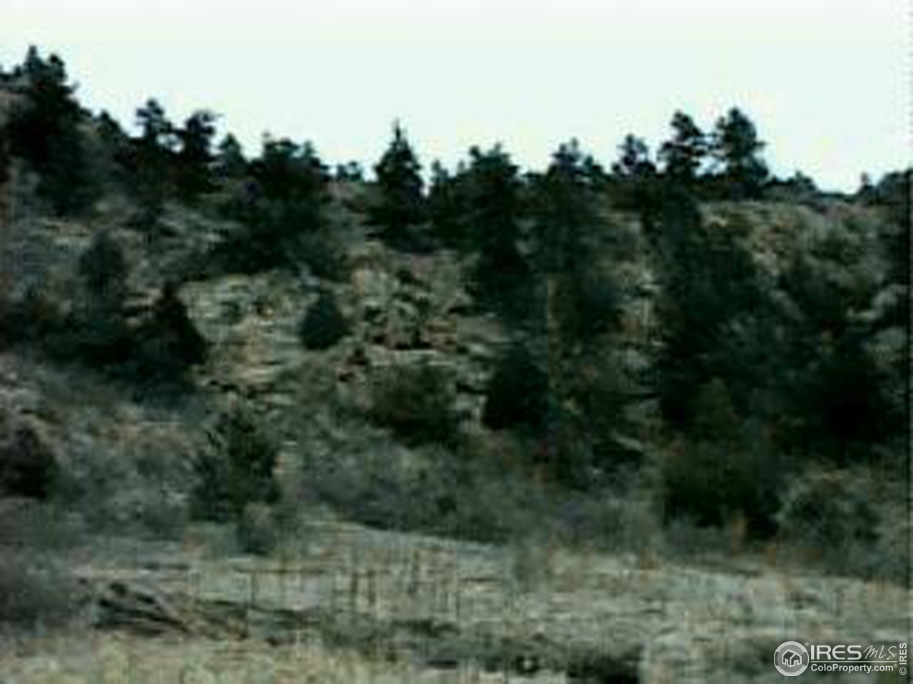 1601 Eiger Road Livermore, CO 80536 - Photo 2 of 2 Gallery Image 2