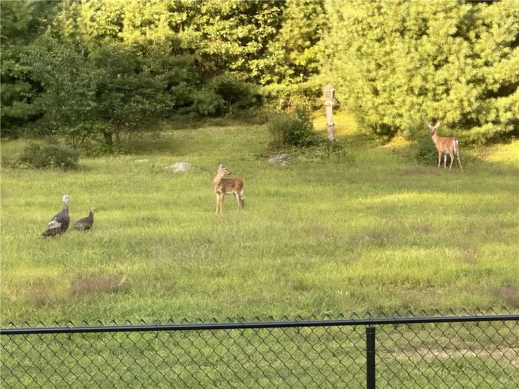 94 Susan Bowen Road Coventry, RI 02827 - Photo 44 of 48