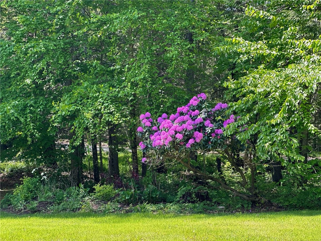 94 Susan Bowen Road Coventry, RI 02827 - Photo 46 of 48