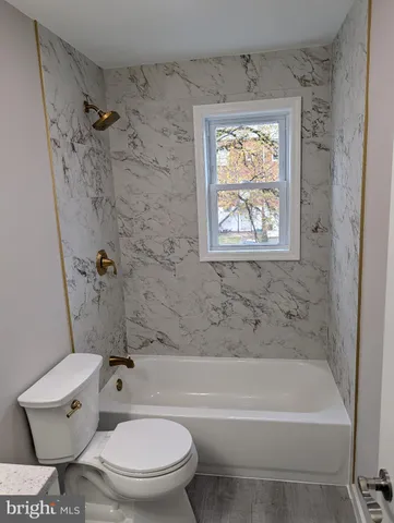 a bathroom with a toilet and a bathtub
