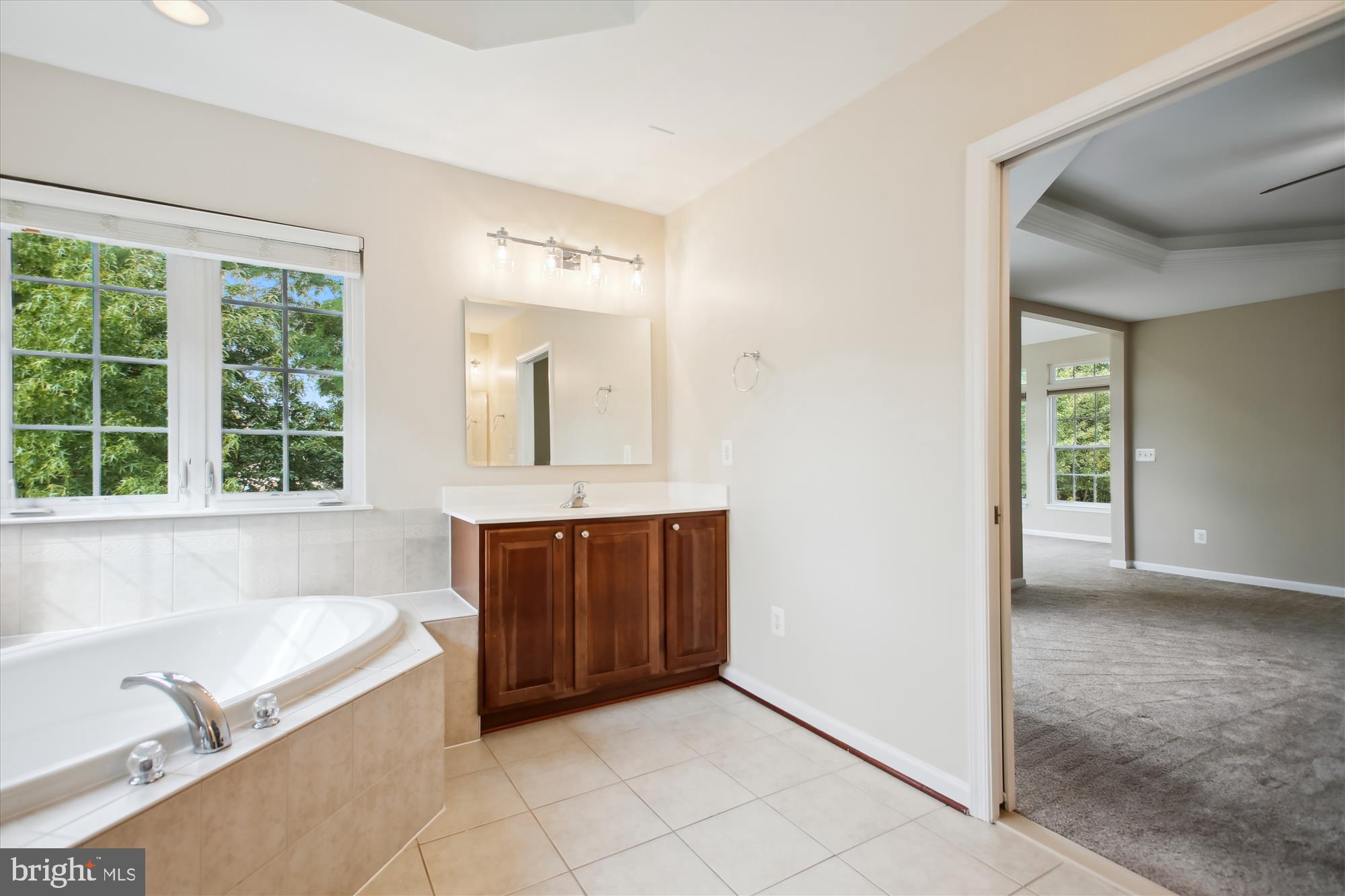 7232 Rita Gray Loop Alexandria, VA 22315 - Photo 49 of 72 Gallery Image 49