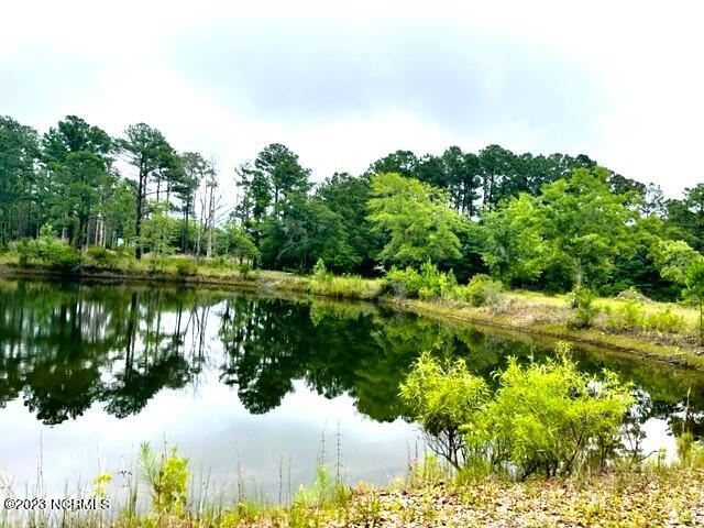 201 McCausley Road Hubert, NC 28539 - Photo 6 of 17 IMG_6466
