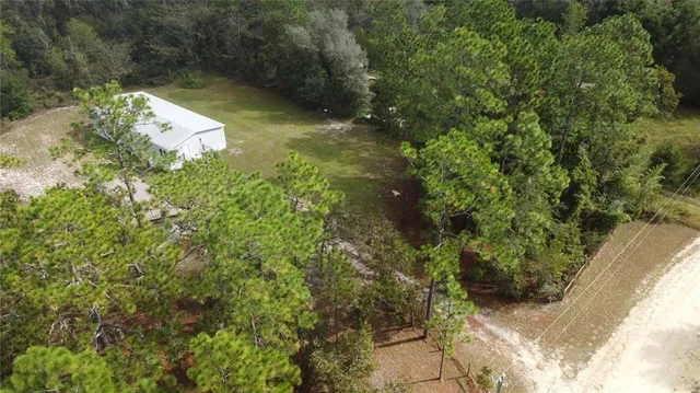 a view of a yard with plants