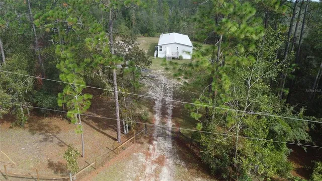 a picture of a tree in a park