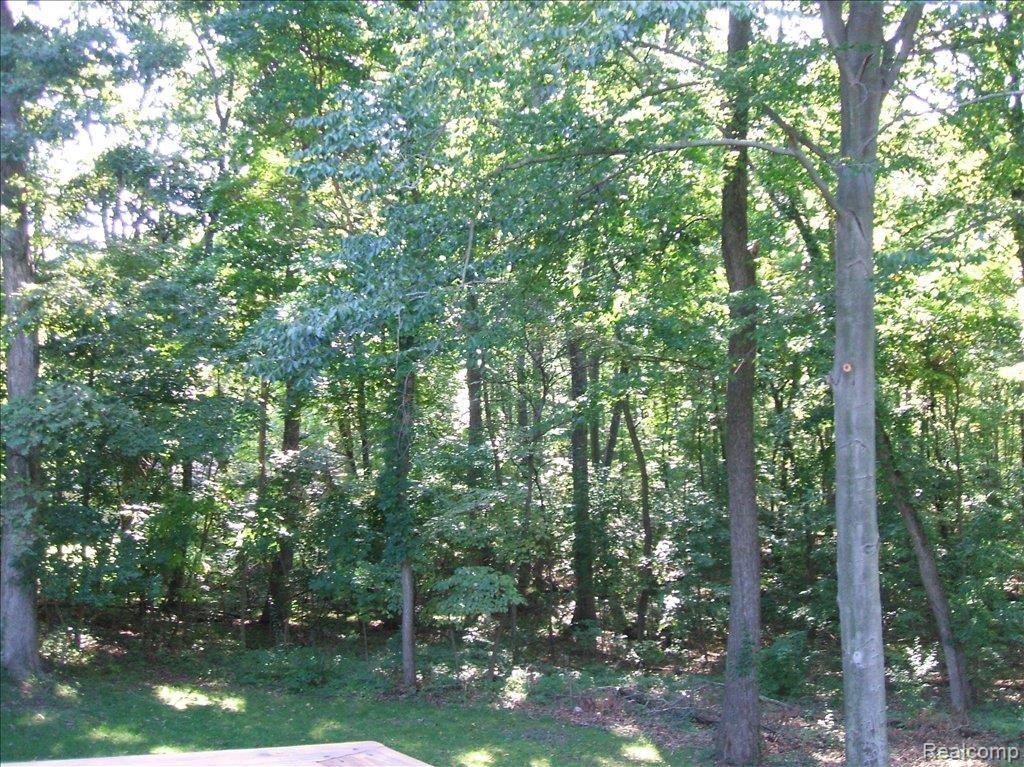 4498 Cordley Lake Road Pinckney, MI 48169 - Photo 3 of 8 Backyard