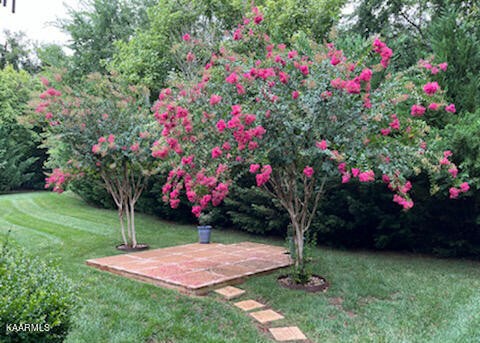 418 Cheeyo Place Loudon, TN 37774 - Photo 12 of 33 a small garden covered with tall trees