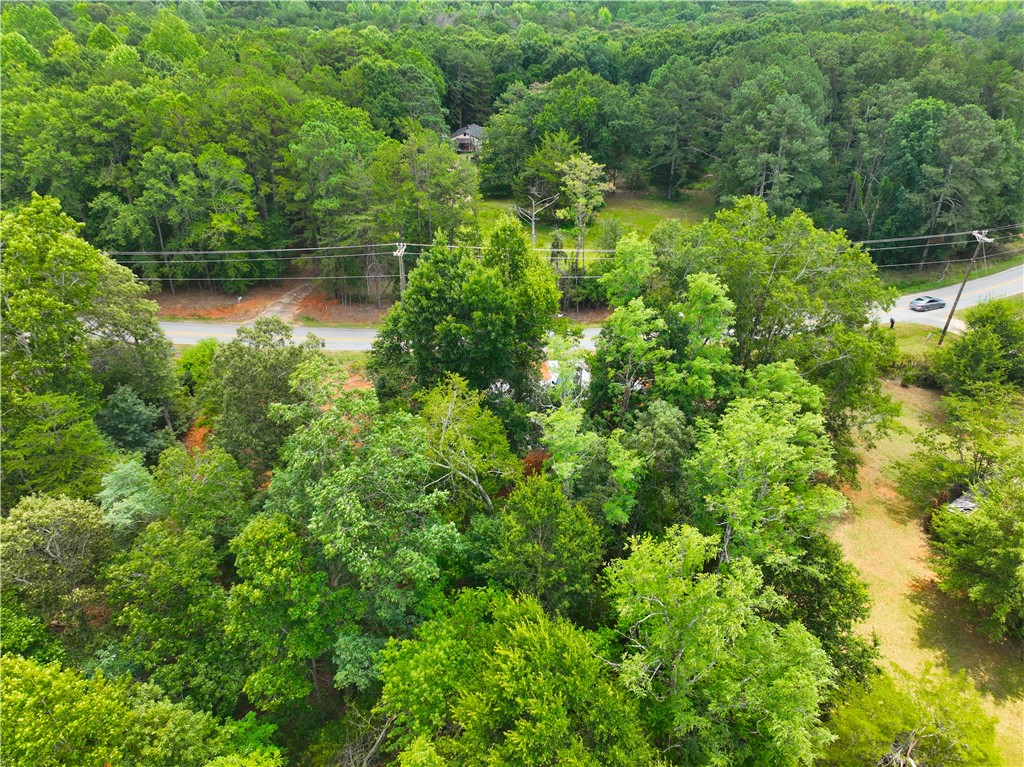 826 Joe Lewis Road Seneca, SC 29678 - Photo 9 of 12