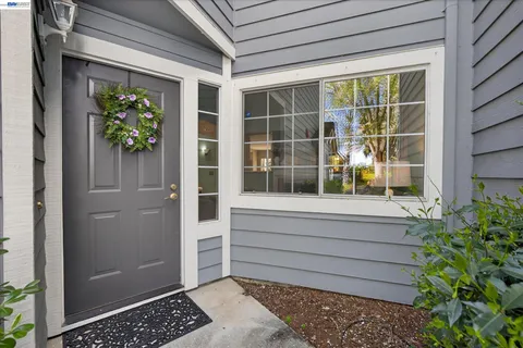 a view of front door of house with potted plant