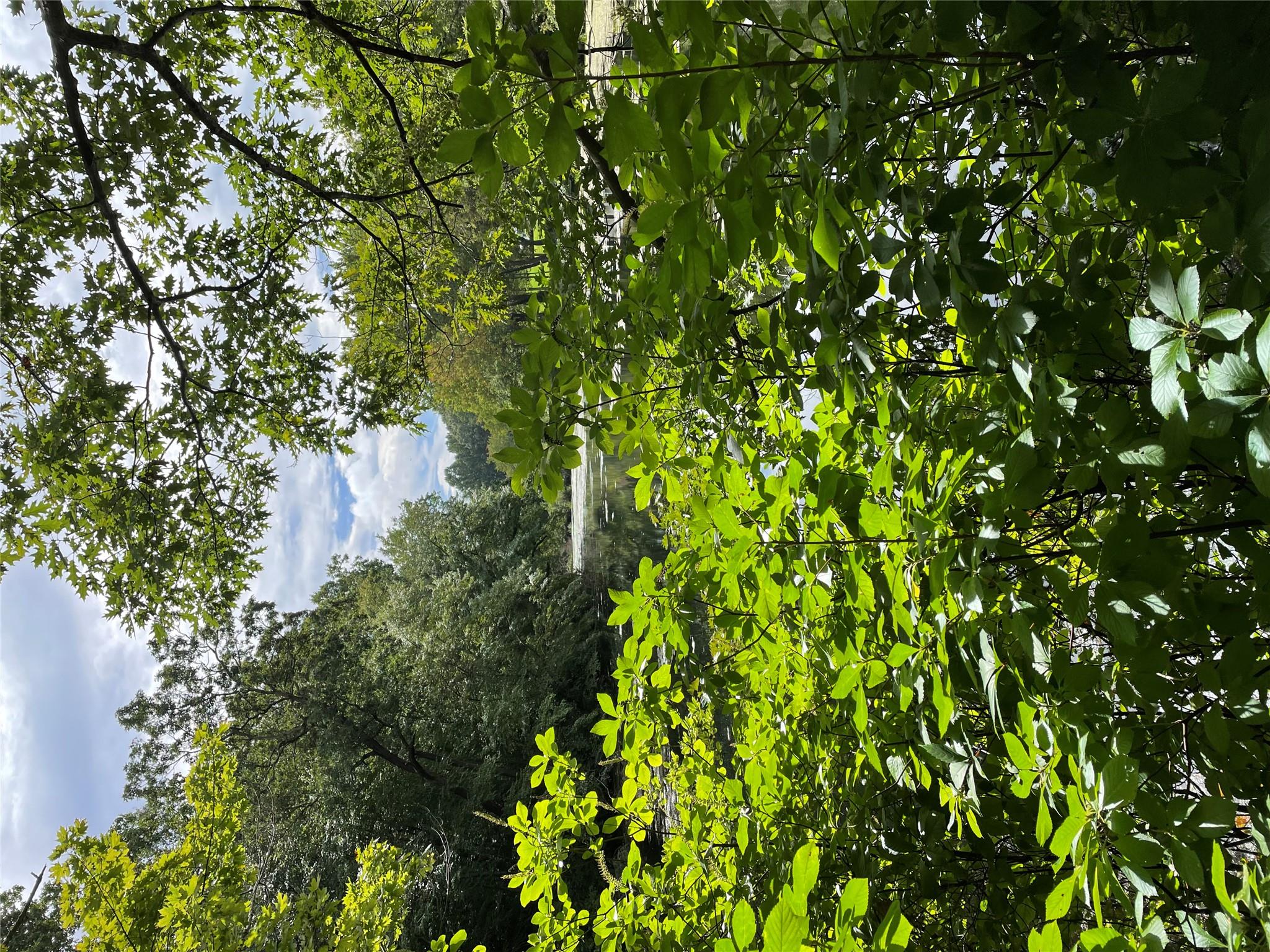 No Numer Cleft Road Mill Neck, NY 11765 - Photo 2 of 3 View of nature