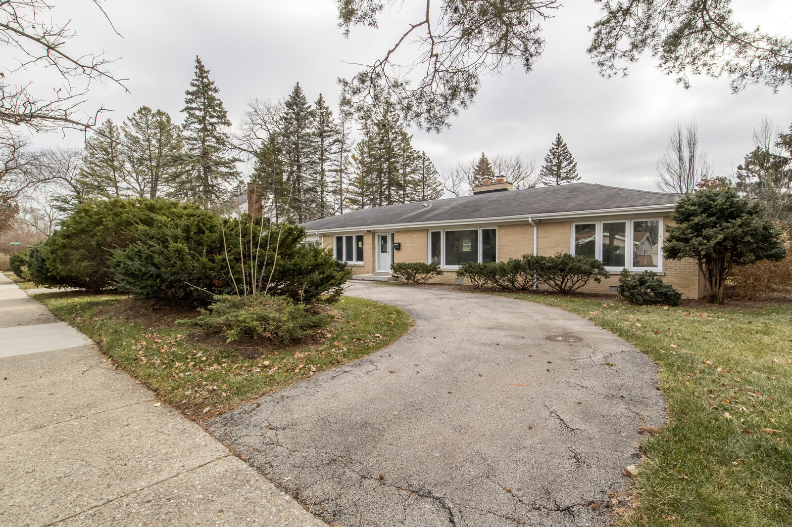 1241 Deerfield Road Deerfield, IL 60015 - Photo 37 of 37 a front view of a house with a yard and trees