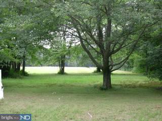 401 Burrs Mill Road Southampton, NJ 08088 - Photo 4 of 6