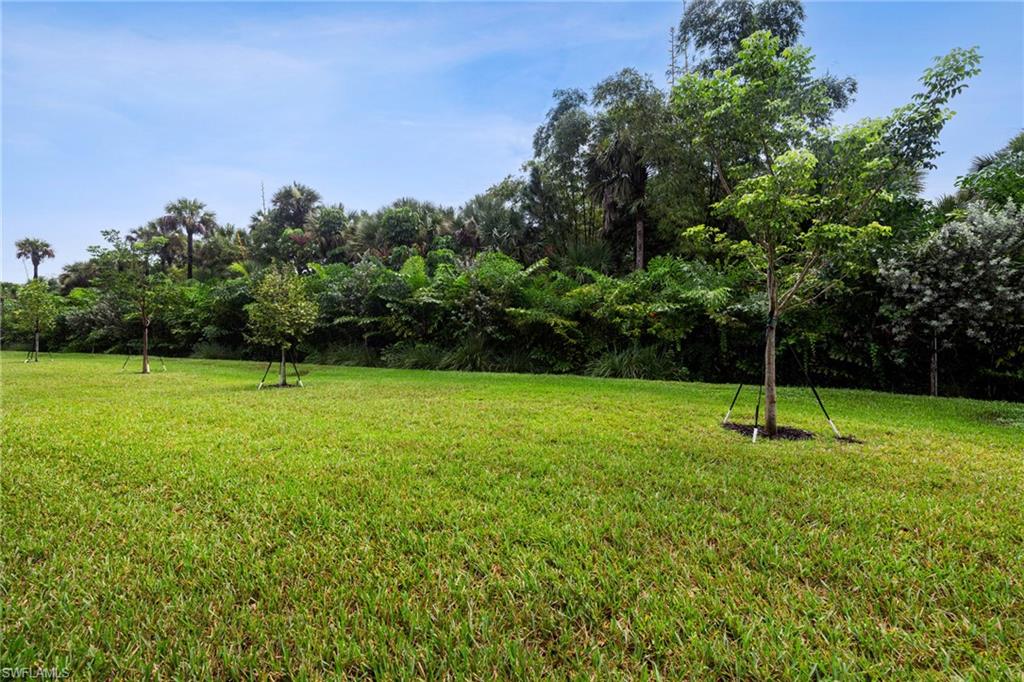 12448 Violet Lane Naples, FL 34120 - Photo 41 of 50
