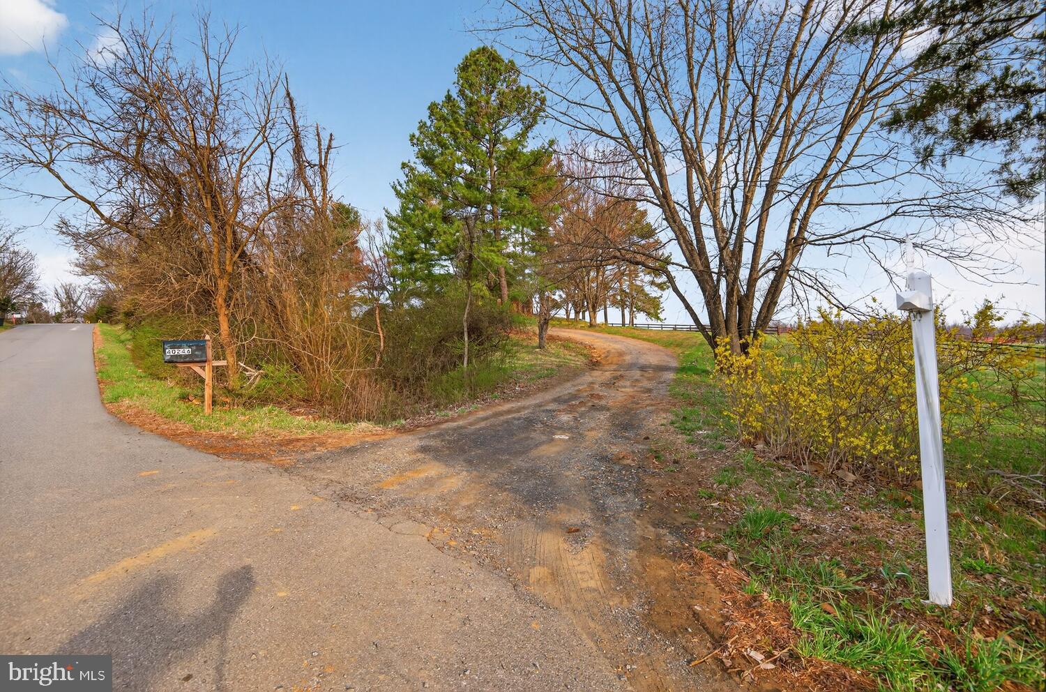 40246 Thomas Mill Road Leesburg, VA 20175 - Photo 11 of 20