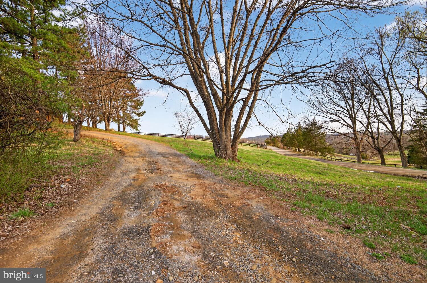 40246 Thomas Mill Road Leesburg, VA 20175 - Photo 10 of 20