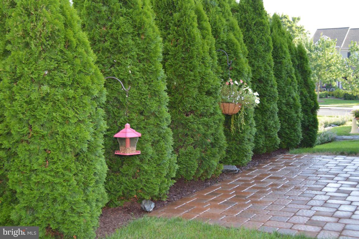 3 Waterleaf Road Lancaster, PA 17603 - Photo 36 of 38 Gallery Image 36