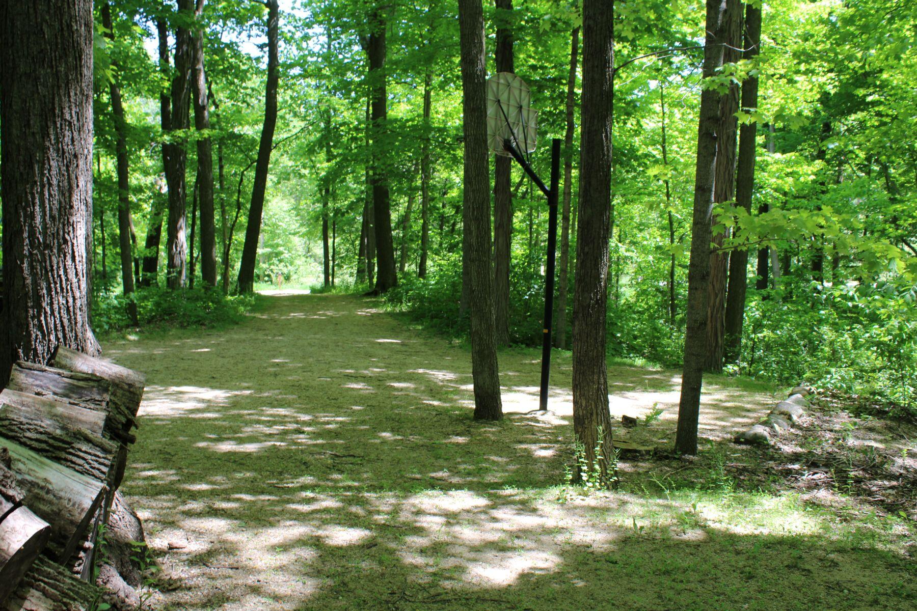 9561 Maple Tree Road Kewaskum, WI 53040 - Photo 25 of 46 driveway