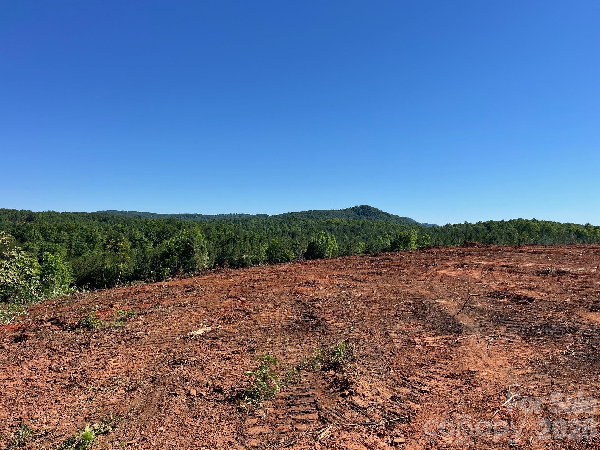 Tbd Vein Mountain Road, Unit 20 Nebo, NC 28761 - Photo 17 of 17