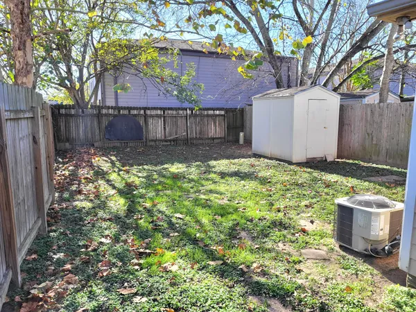 a view of a yard with plants and a large tree