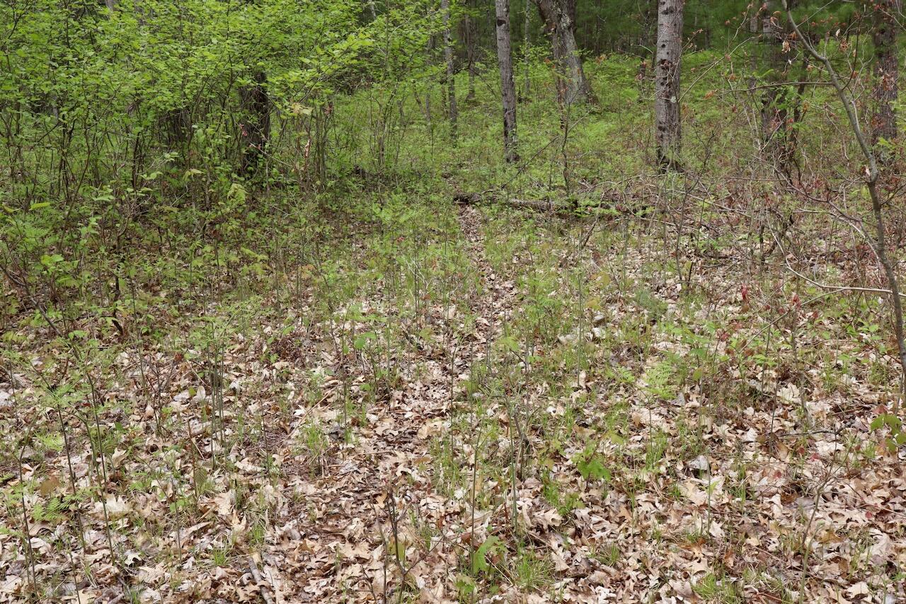 6153 South Branch Road Branch, MI 49402 - Photo 53 of 70 46