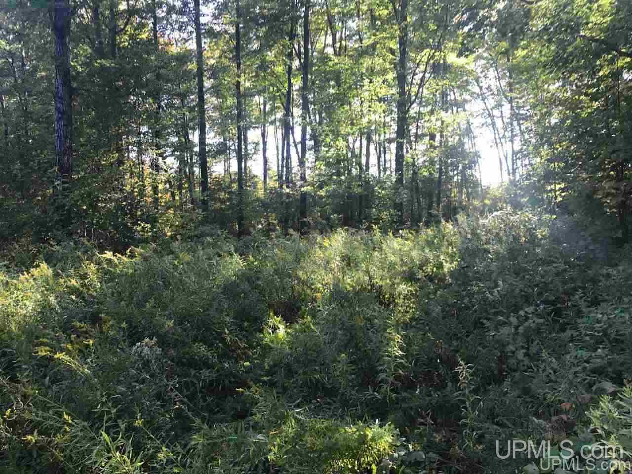 Tbd Ford River Road Arnold, MI 49831 - Photo 11 of 22