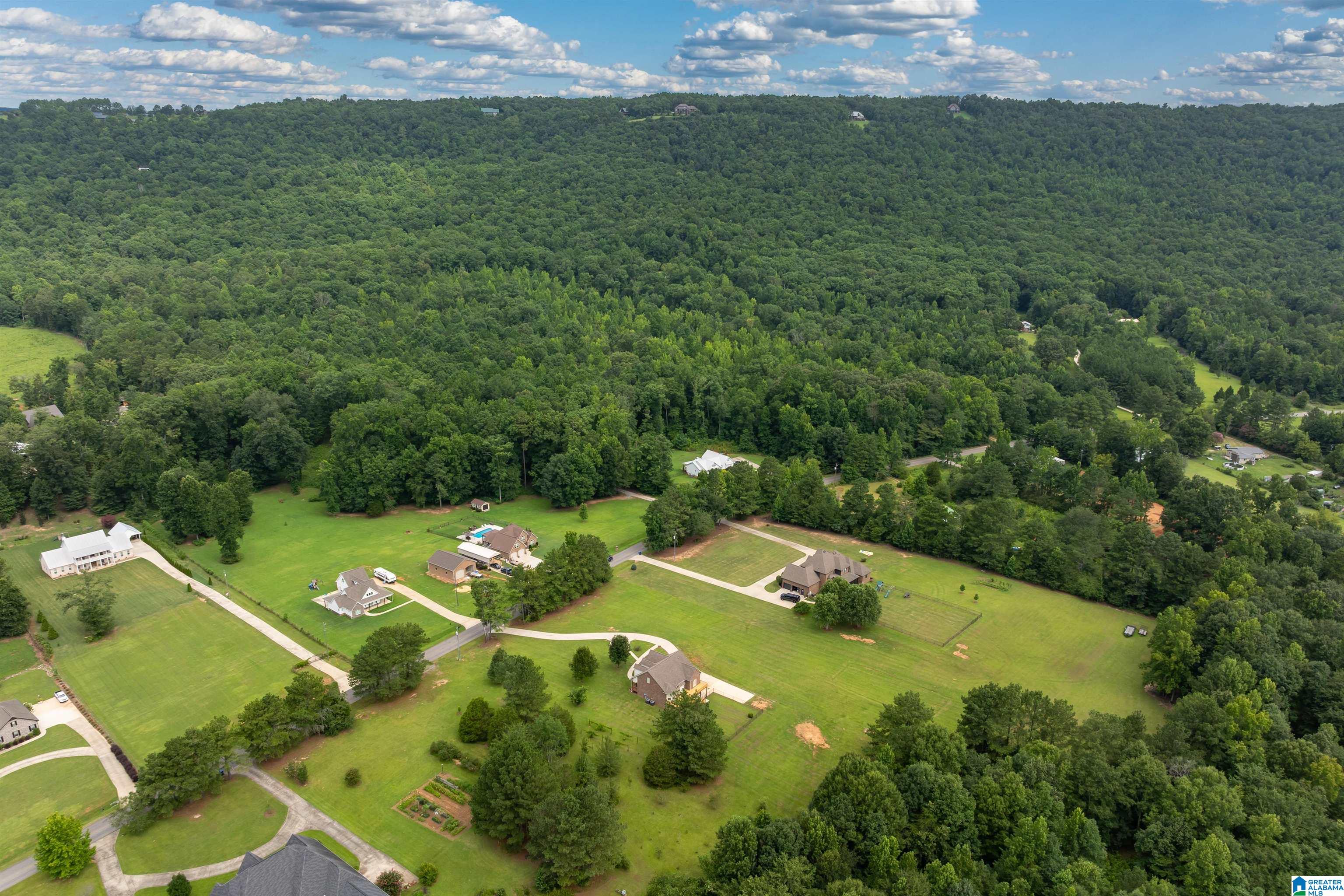 2448 Crawfords Cove Road Springville, AL 35146 - Photo 54 of 54 Gallery Image 54