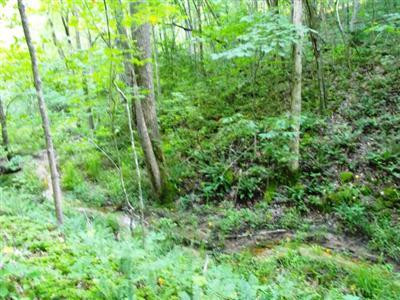 2437 Pilot Road Stanton, KY 40380 - Photo 29 of 56 Photo 29